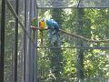 Zoo Cottbus 071